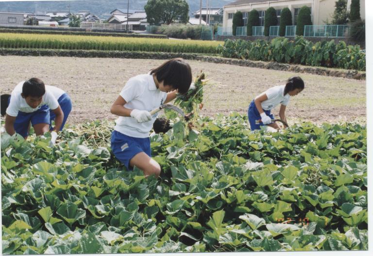 ★ 2007.10. つる取り除き作業 ★